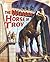 The Wooden Horse of Troy (Greek Myths)