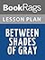 Lesson Plans Between Shades of Gray