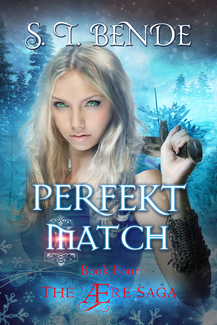 Perfekt Match (The Ære Saga, #4)