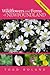 Wildflowers and Ferns of Newfoundland and Labrador: Field Guide