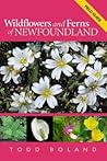 Wildflowers and F...