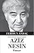 Gülen Düşünce, Muhalif Kimlik: Aziz Nesin