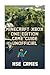 Minecraft Xbox One Edition Game Guide Unofficial