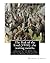 The Peak of the Load (1918) by Mildred Aldrich (historical): the waiting months: on the hilltop from the entrance of the Stars and stripes to the second victory on the Marne