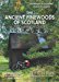 The Ancient Pinewoods of Scotland: A Companion Guide