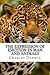 The Expression of Emotion in Man and Animals