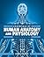 Essentials of Human Anatomy and Physiology, 1st Edition by James Palmer