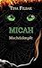 MICAH - Machtkämpfe (German Edition)