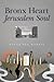 Bronx Heart Jerusalem Soul by Rayna Sue Harris