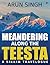 Meandering along the Teesta by Arun Singh