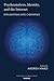Psychoanalysis, Identity, and the Internet: Explorations into Cyberspace (The Library of Technology and Mental Health)