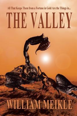 The Valley (Paperback)