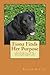 Fiona Finds Her Purpose: The Story of a Black Lab, Two African Wild Dog Pups, and Their Brief Encounter