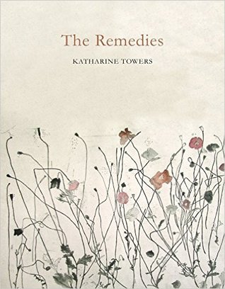 The Remedies (Paperback)