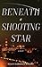 Beneath a Shooting Star by Susan Harrison Rashid