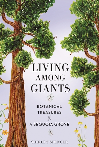 Living Among Giants: Botanical Treasures of a Sequoia Grove (Paperback)