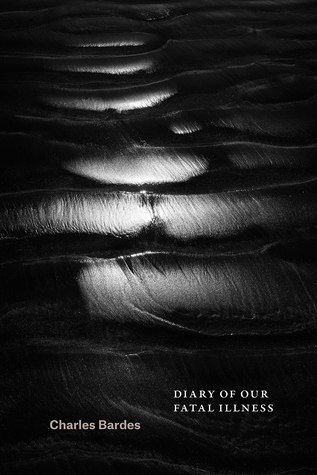 Diary of Our Fatal Illness (Phoenix Poets)