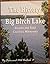 THE HISTORY OF BIG BIRCH LAKE Stearns and Todd Counties, Minnesota