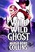Wild Wild Ghost (Blaize Silver, #0.6)