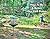 How to Be a Better Disc Golf Putter by John Beckwith
