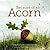 Because of an Acorn: (Nature Autumn Books for Children, Picture Books about Acorn Trees)