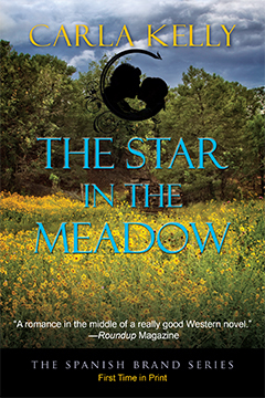 The Star in the Meadow (Paperback)