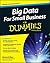 Big Data For Small Business For Dummies