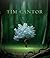 Tim Cantor - Paintings & Writings ('The Hollows' cover image) by Tim Cantor (2012-08-02)