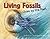 Living Fossils: Clues to the Past
