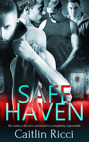 Safe Haven (Kindle Edition)
