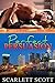 Perfect Persuasion (Love's Second Chance #2)