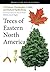 Trees of Eastern North America (Princeton Field Guides Book 93)