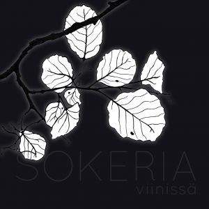 Sokeria Viinissä (Hardcover)