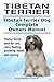Tibetan Terrier Dog. Tibeta...