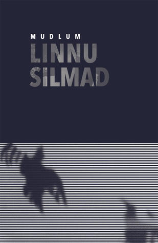 Linnu silmad (Hardcover)