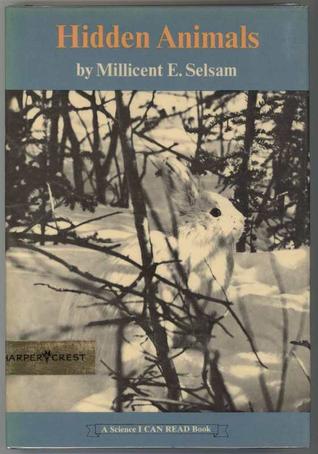 Hidden Animals (Hardcover)