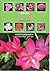 Grow Bulbs
