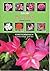 Grow Bulbs by Graham  Duncan