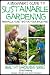 A Beginner’s Guide to Sustainable Gardening (Healthy Gardening Series Book 6)