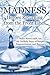 Madness: Heroes Returning from the Front Lines: Baltic Street AEH, Inc.: An Unlikely Story of Respect, Empowerment, and Recovery