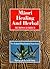 Maori Healing and Herbal: New Zealand Ethnobotanical Sourcebook
