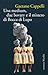 Una medium, due bovary e il mistero di Bocca di Lupo