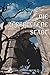 Die zerbrochene Stadt (Über...