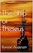The Ship of Theseus by Duncan Anderson