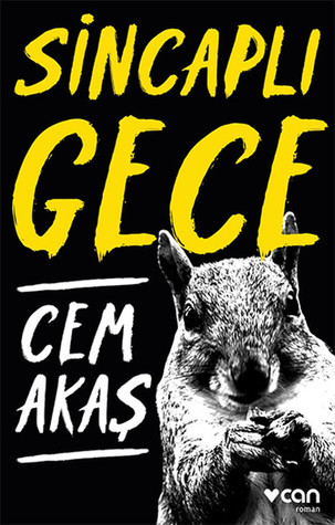 Sincaplı Gece (Paperback)