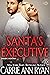 Santa's Executive (Holiday,...