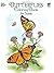 Butterflies Coloring Book