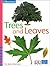 iOpener: Trees and Leaves (iOpeners)