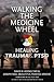 Walking the Medicine Wheel:...