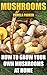 Mushrooms: How To Grow Your Own Mushrooms At Home